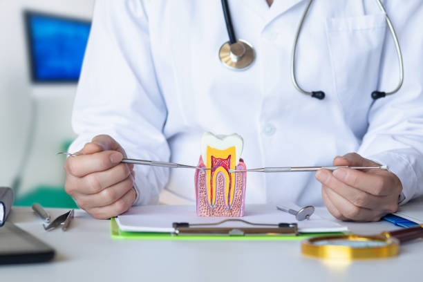 Best Emergency Orthodontic Repairs in Justice, OK